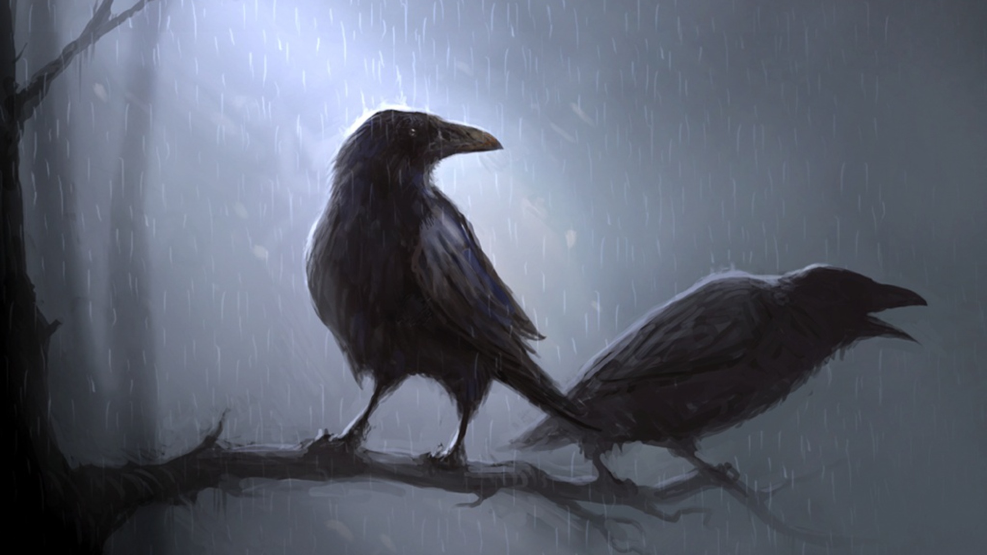Crow wallpaper for mac download